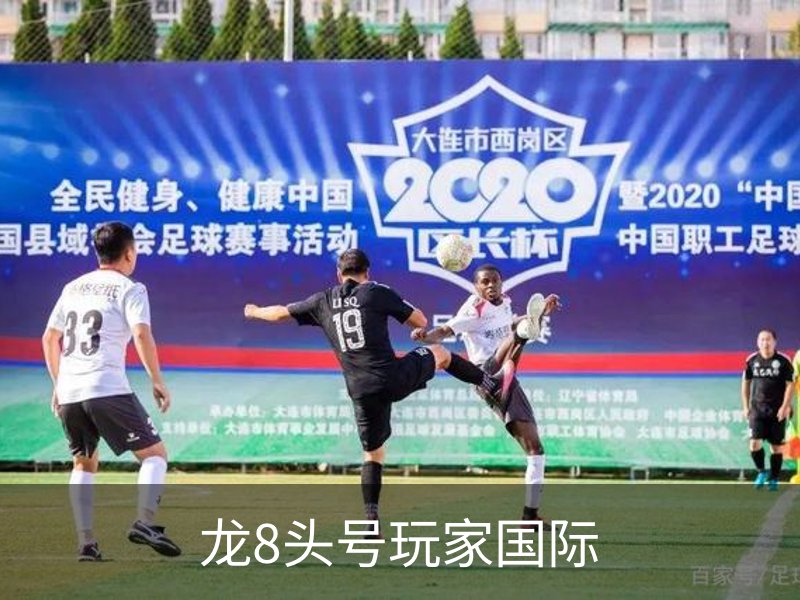 龙8头号玩家国际介绍